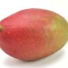 Mango Kent  9 Stück Karton  Brasilien