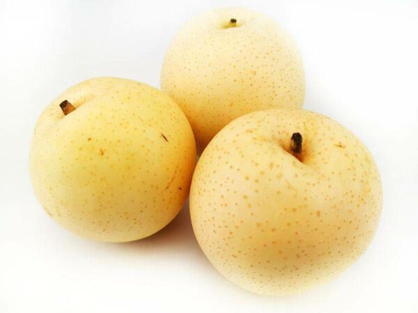 Nashi Birne  5 kg Kolli  China