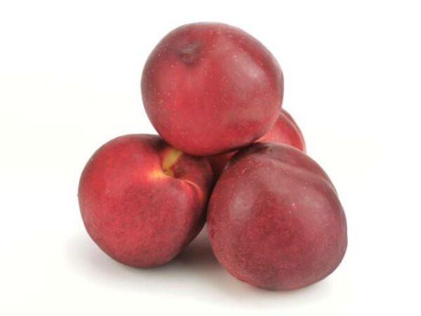 Nektarine gelbfleischig  4 kg Kolli  Spanien