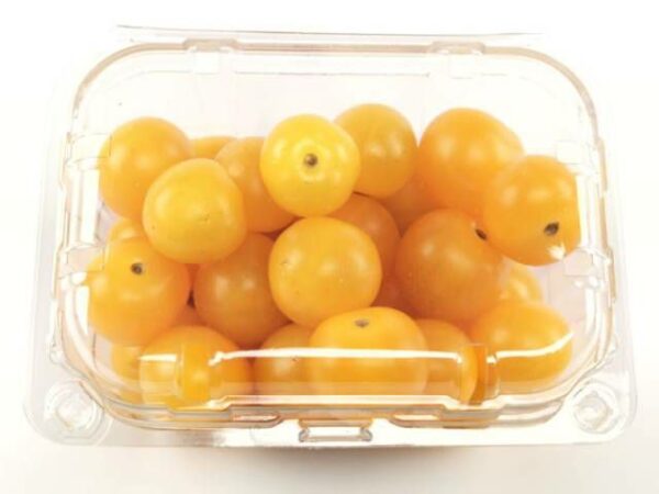 Cherrytomate gelb  9 x 250 g Schale  Niederlande